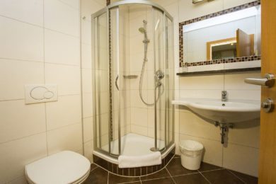 Doppelzimmer Alpenstyle im Alpenfex in Flachau, Ferienwohnungen