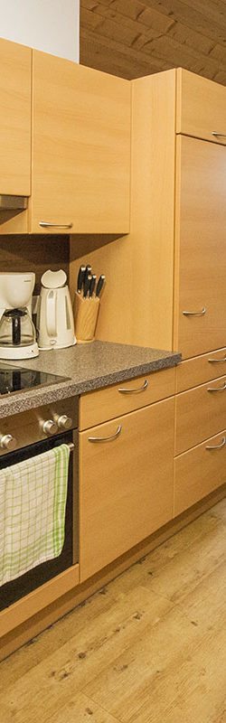 Ferienwohnung für 3 – 5 Personen im Alpenfex, Flachau, Salzburger Land
