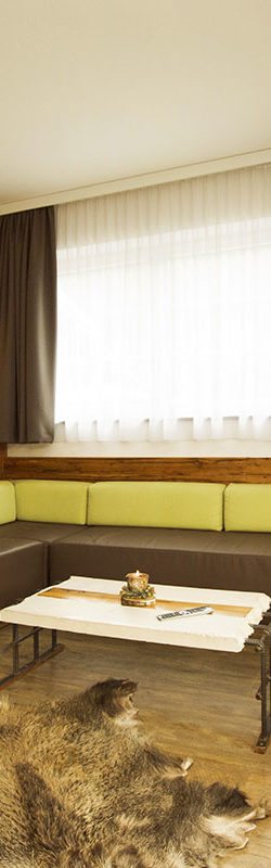 Ferienwohnung Alpensuite für bis zu 18 Personen – Alpenfex in Flachau, Salzburger Land