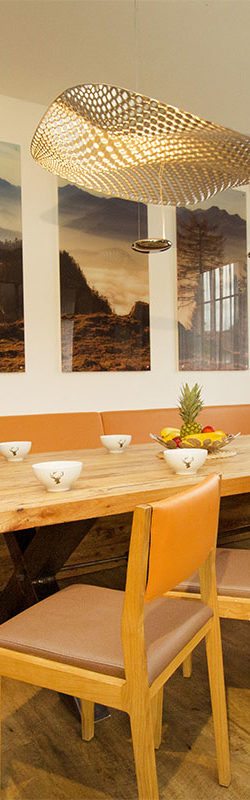 Ferienwohnung Alpensuite für bis zu 18 Personen – Alpenfex in Flachau, Salzburger Land