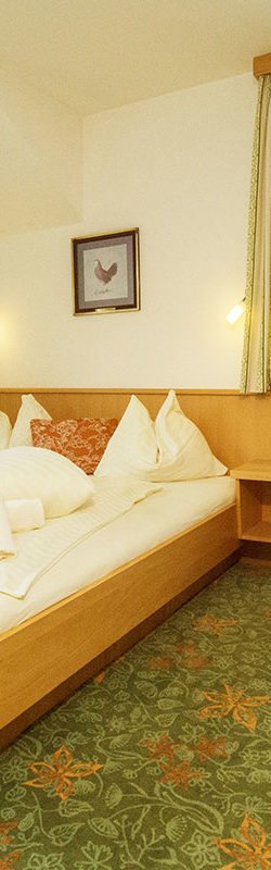Ferienwohnung für 6 – 10 Personen im Alpenfex, Flachau, Salzburger Land