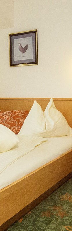 Urlaub in Flachau, Salzburger Land – Schöne Zimmer & Ferienwohnungen im Alpenfex