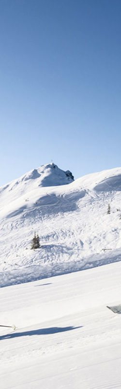 Winter- & Skiurlaub in Flachau, Ski amadé – Skifahren